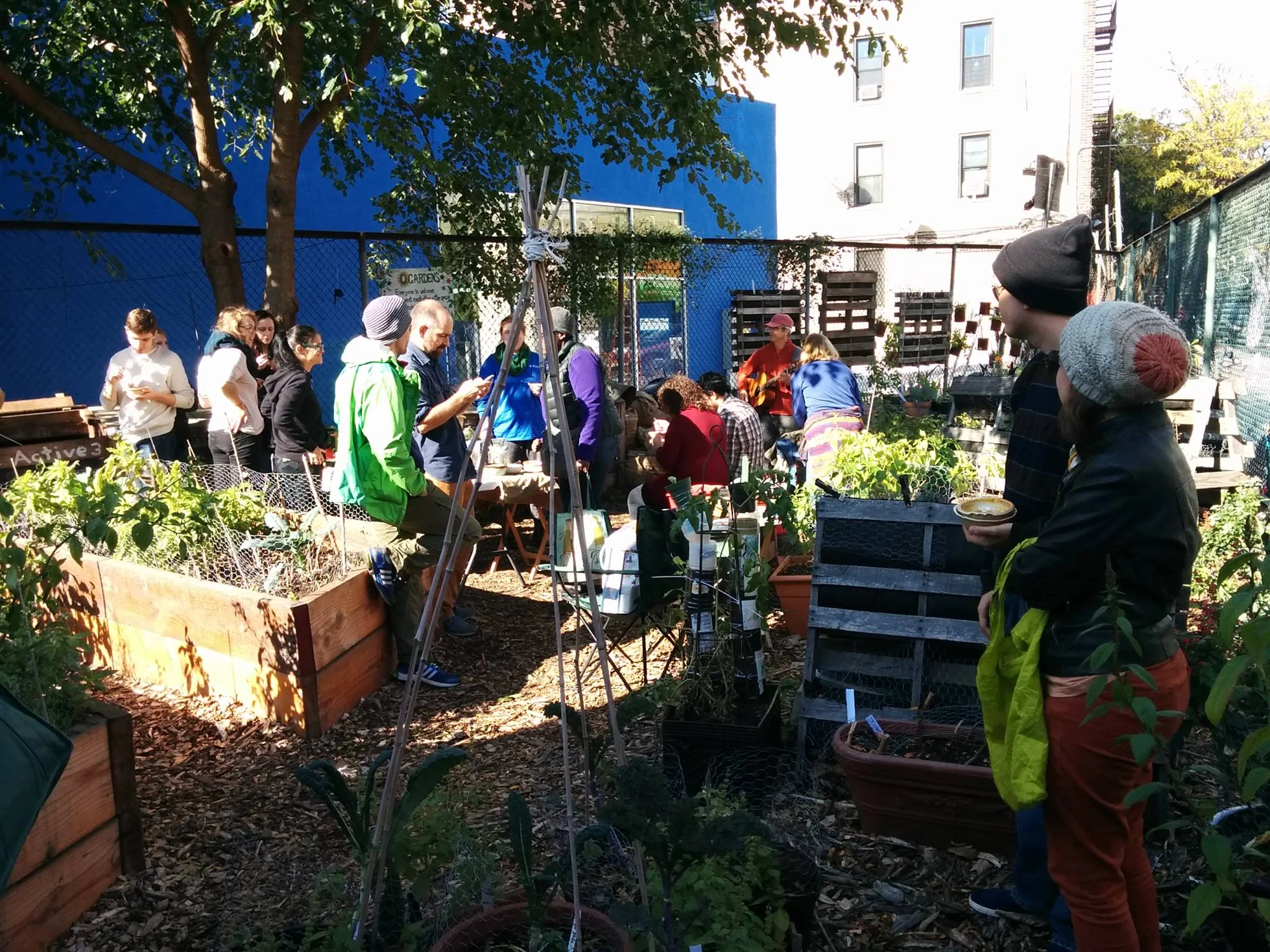 We are proud to have partnered with Q Gardens to ground our current Building Blocks project in, which is exploring ways we can address some of our local waste issues. We are transforming their three external tree pits from under-protected garbage collecting sites into thoughtful, vibrant and educational installations designed by neighbors, for neighbors.