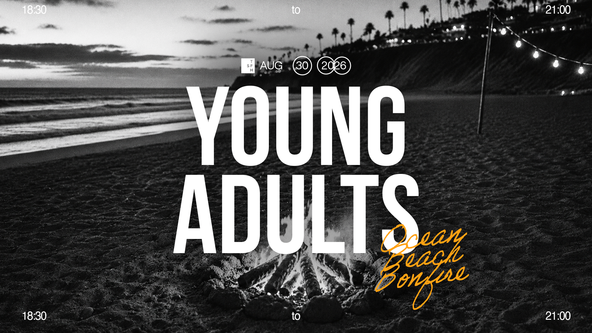 Young Adults Ocean Beach Bonfire