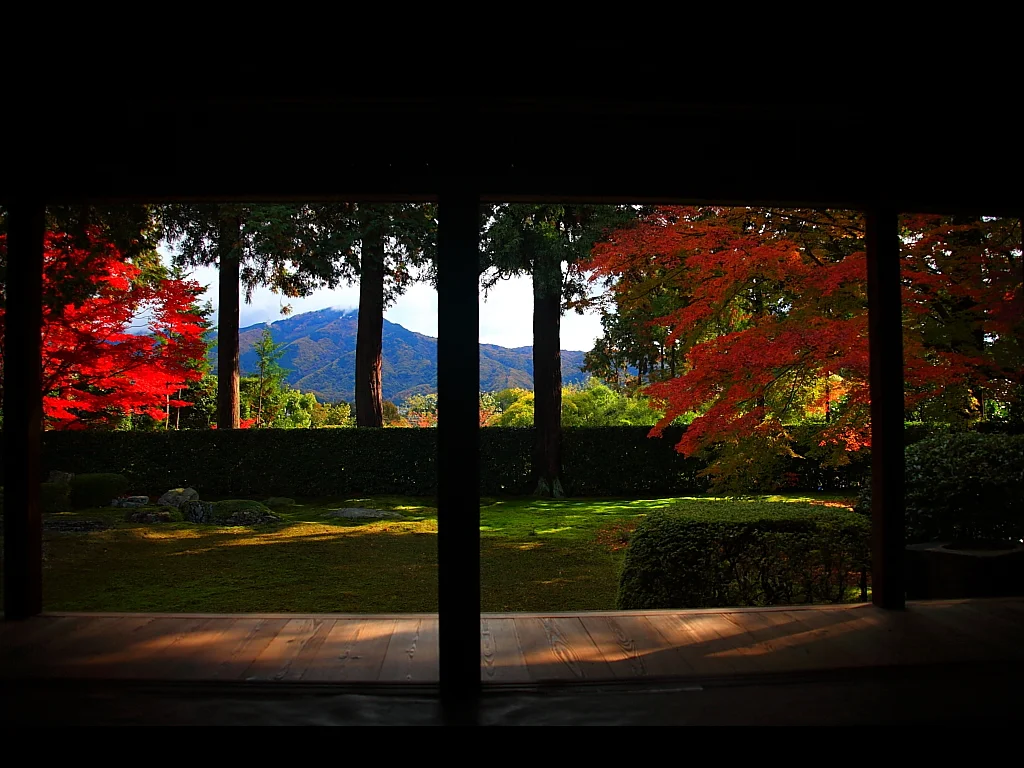 Borrowed scenery