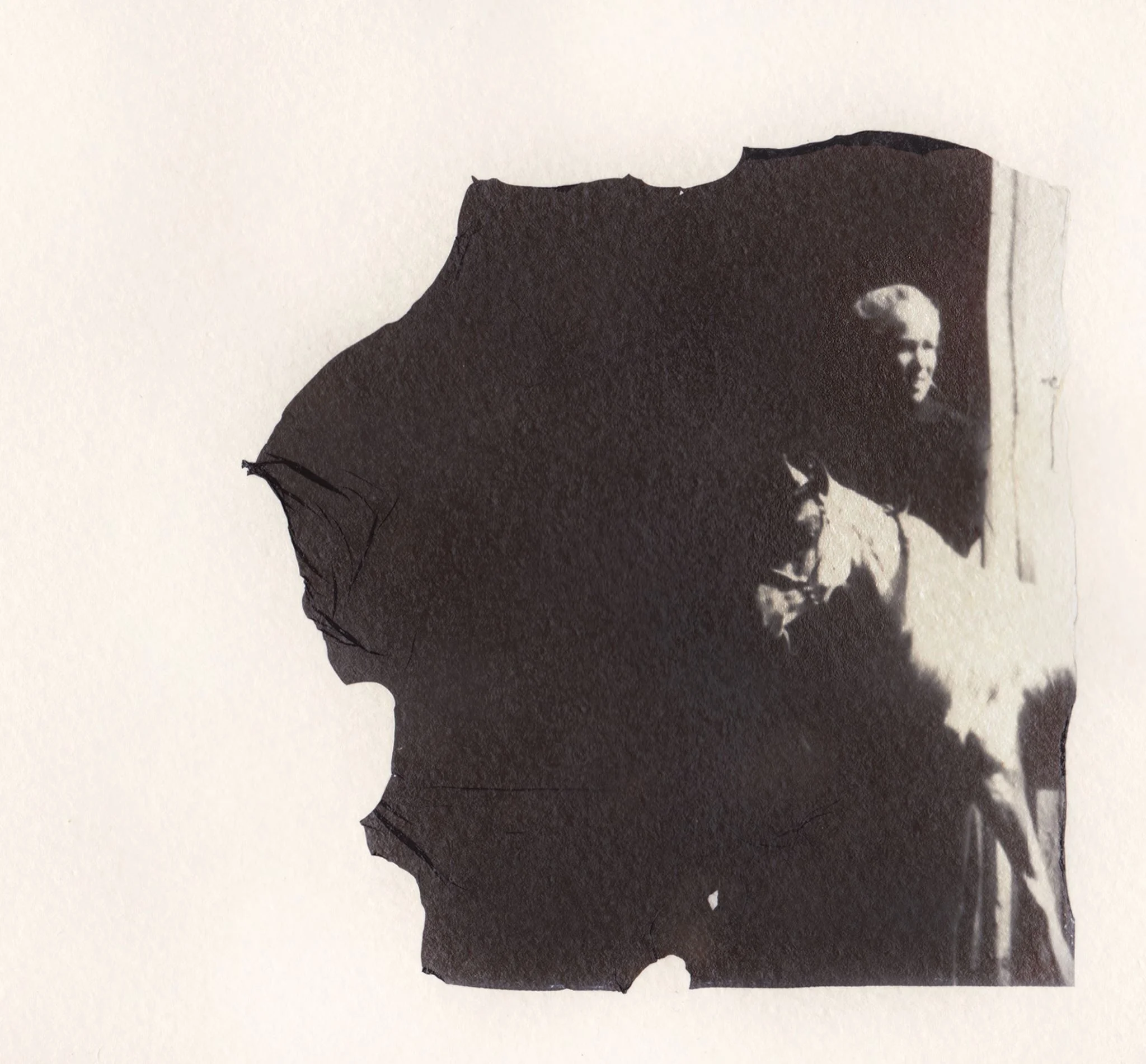 Polaroid transfer by instructor Tom Hart.