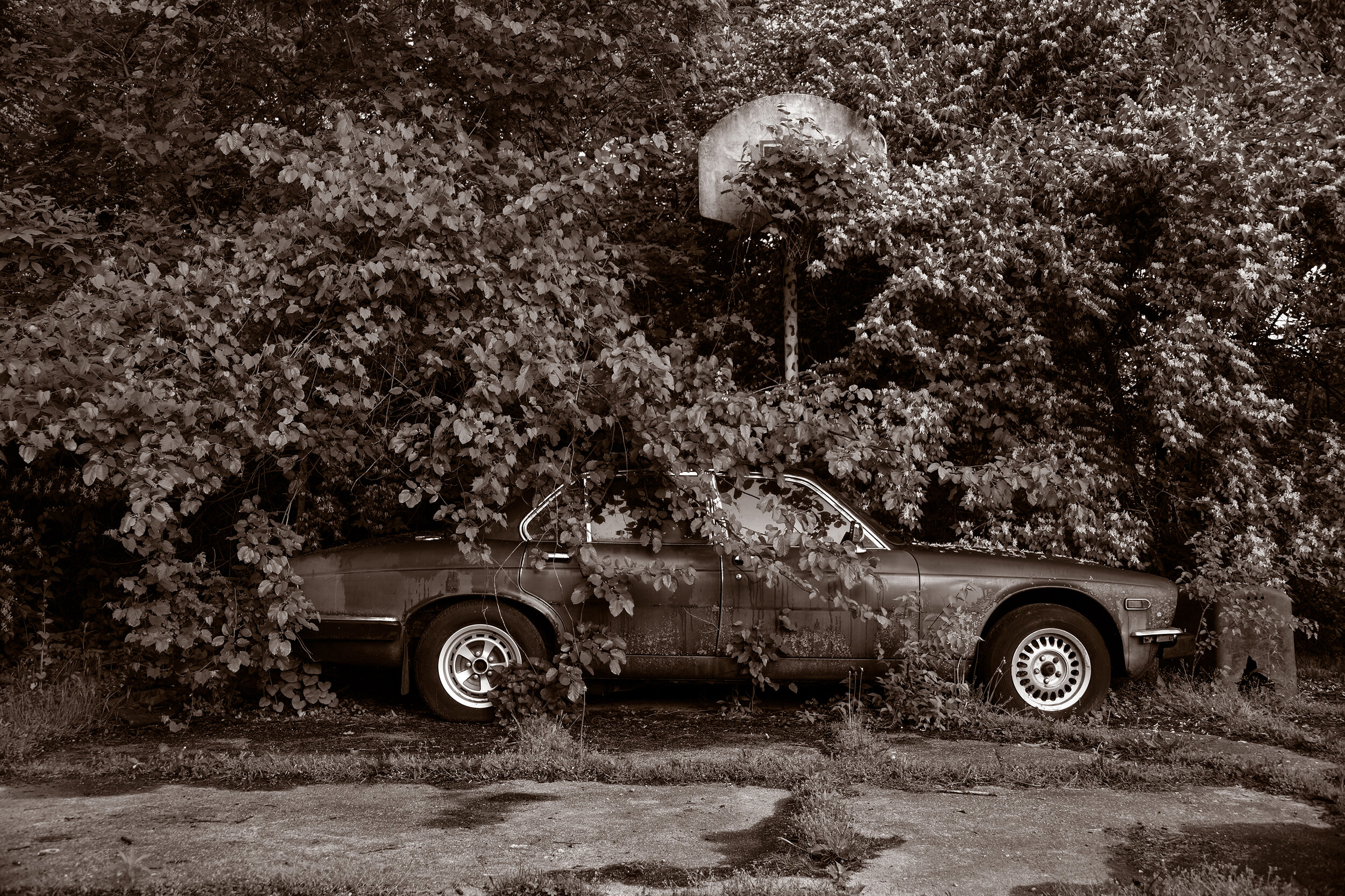  HONORABLE MENTION  GARY BEEBER  Abandoned Jaguar,  2019. 13x16”. Archival inkjet print. $750.00.   Artist Talk here.  