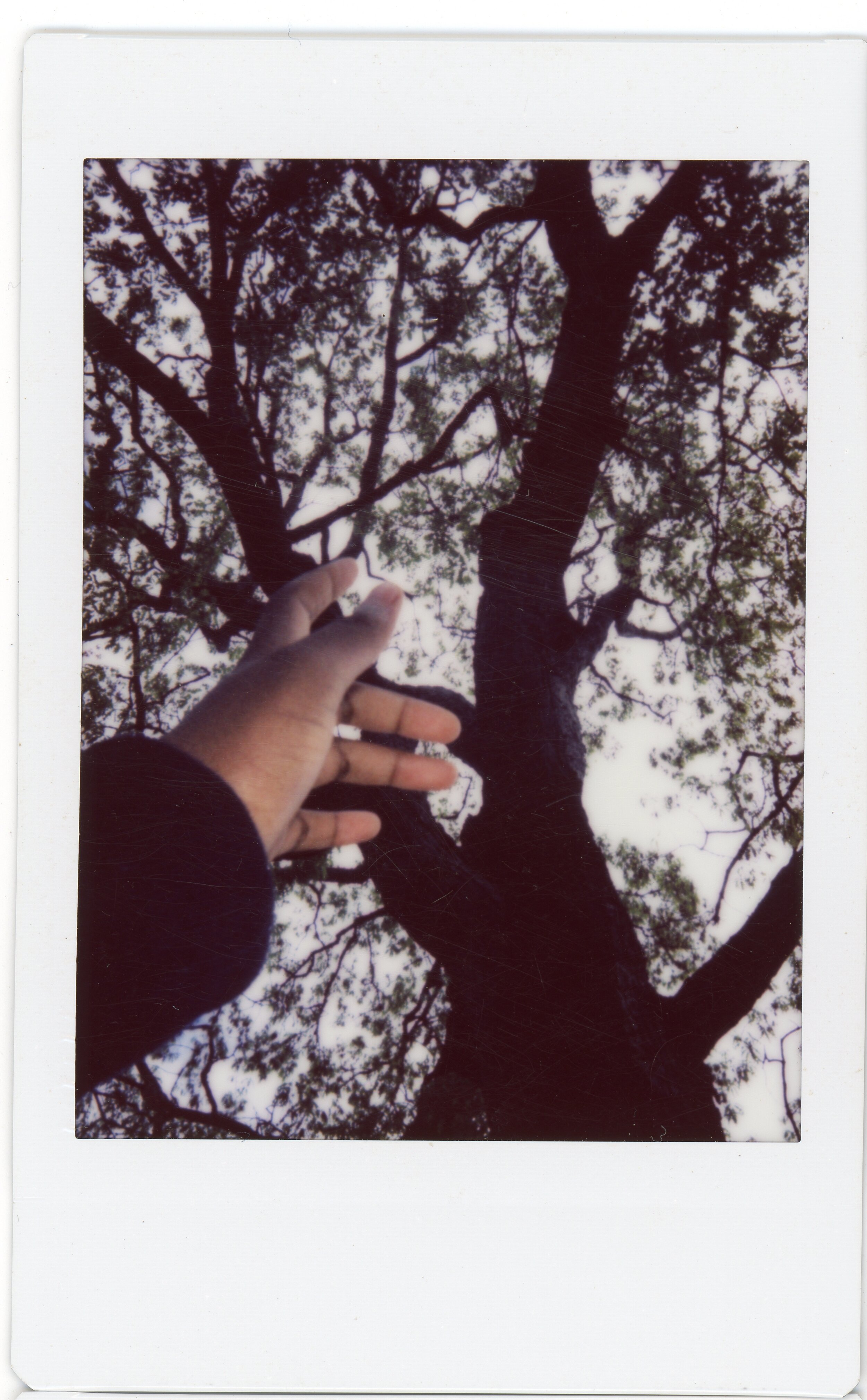 Copy of Fick B Scanned Instax003.jpg