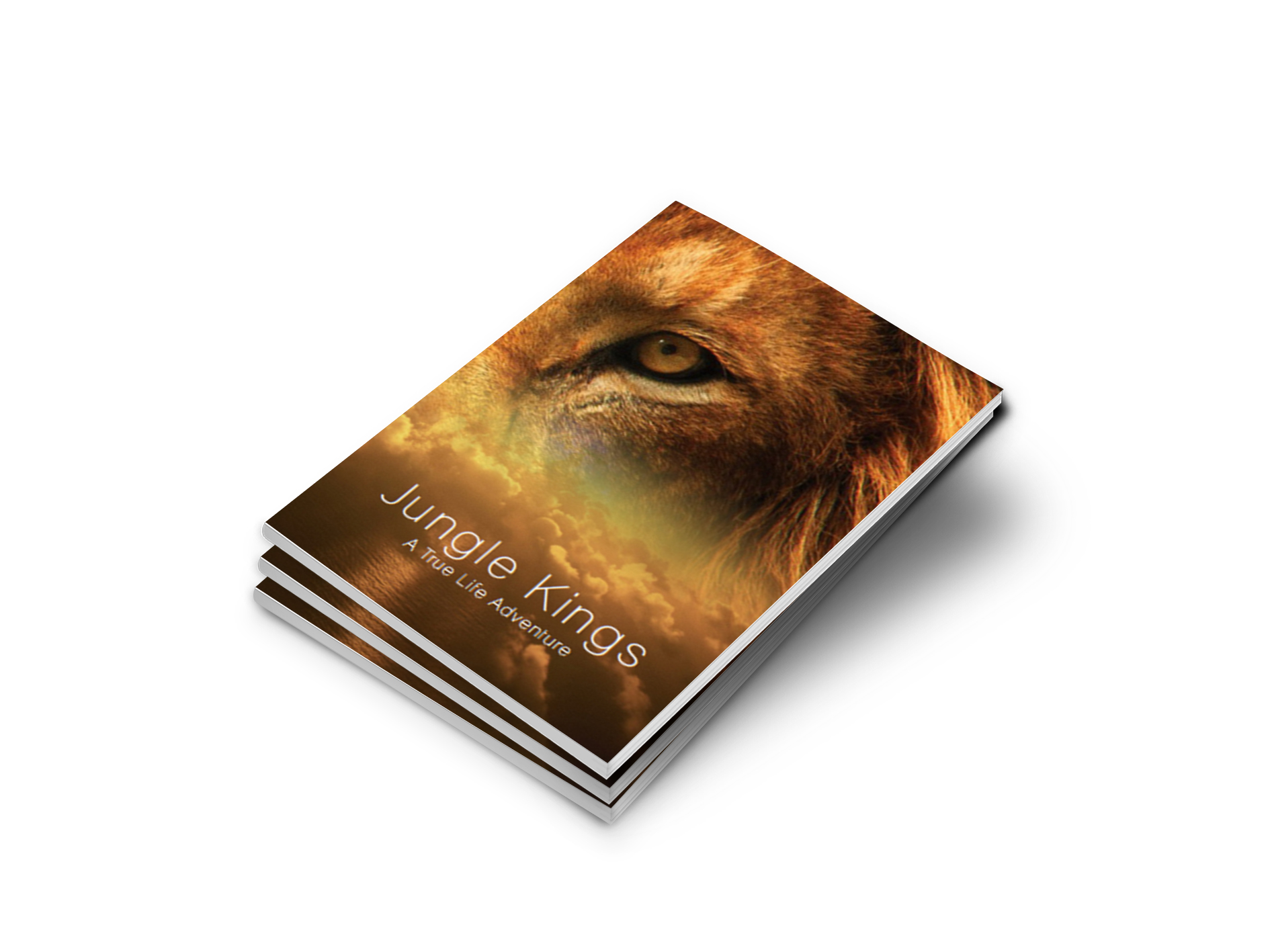 Lion cover.jpg