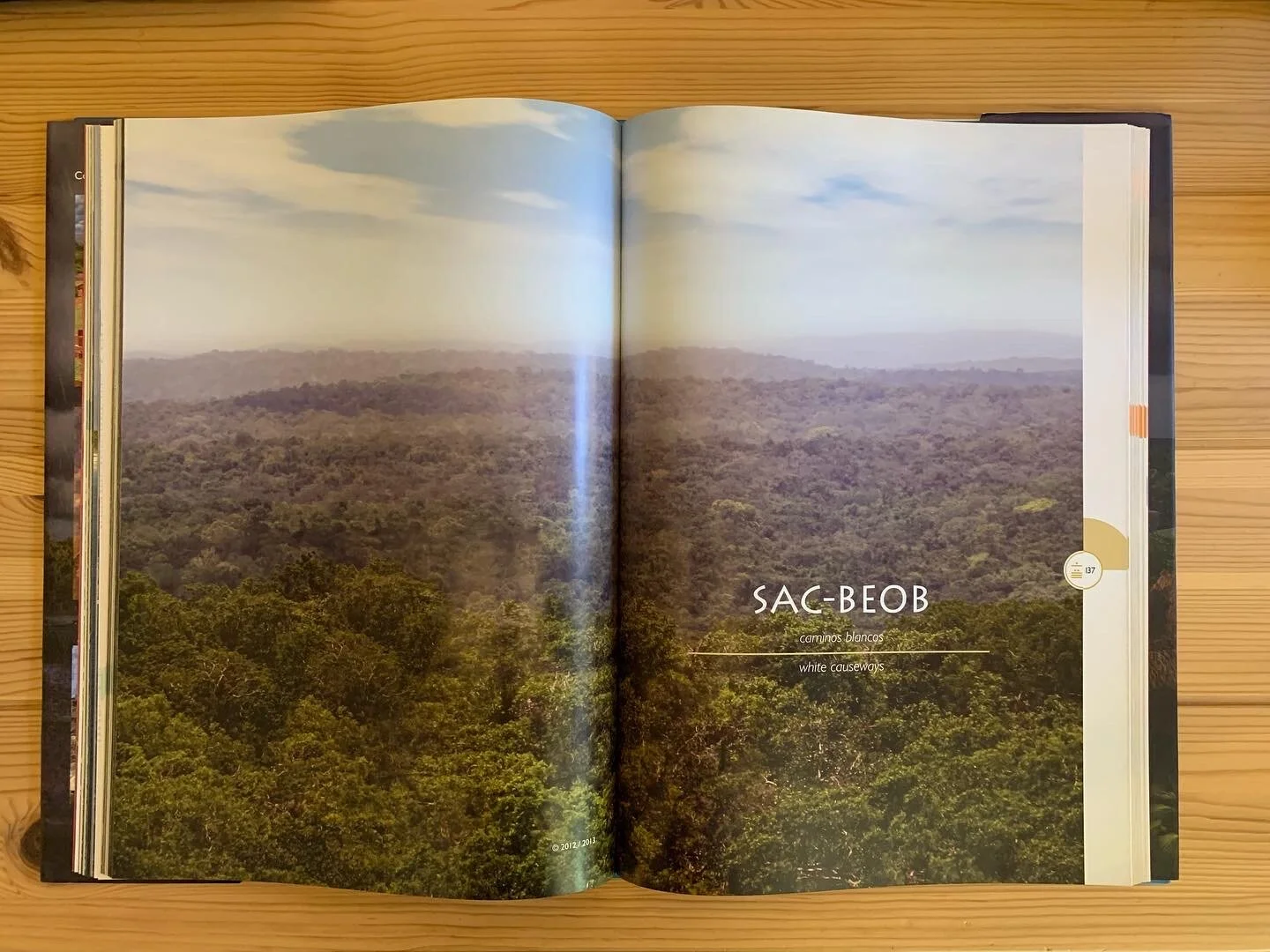 BCFD8504-3445-4831-84CC-31B9FD03DBAE