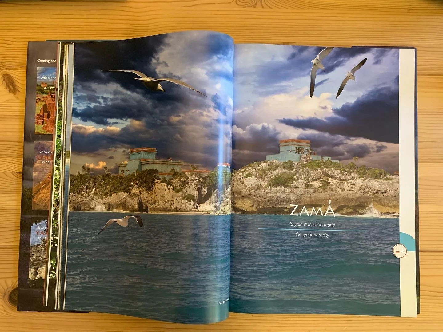 893D250D-4303-4BBA-BBCC-59BE38F355D0