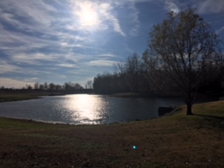 Hometown, Family Visit and Oscar's Challenge