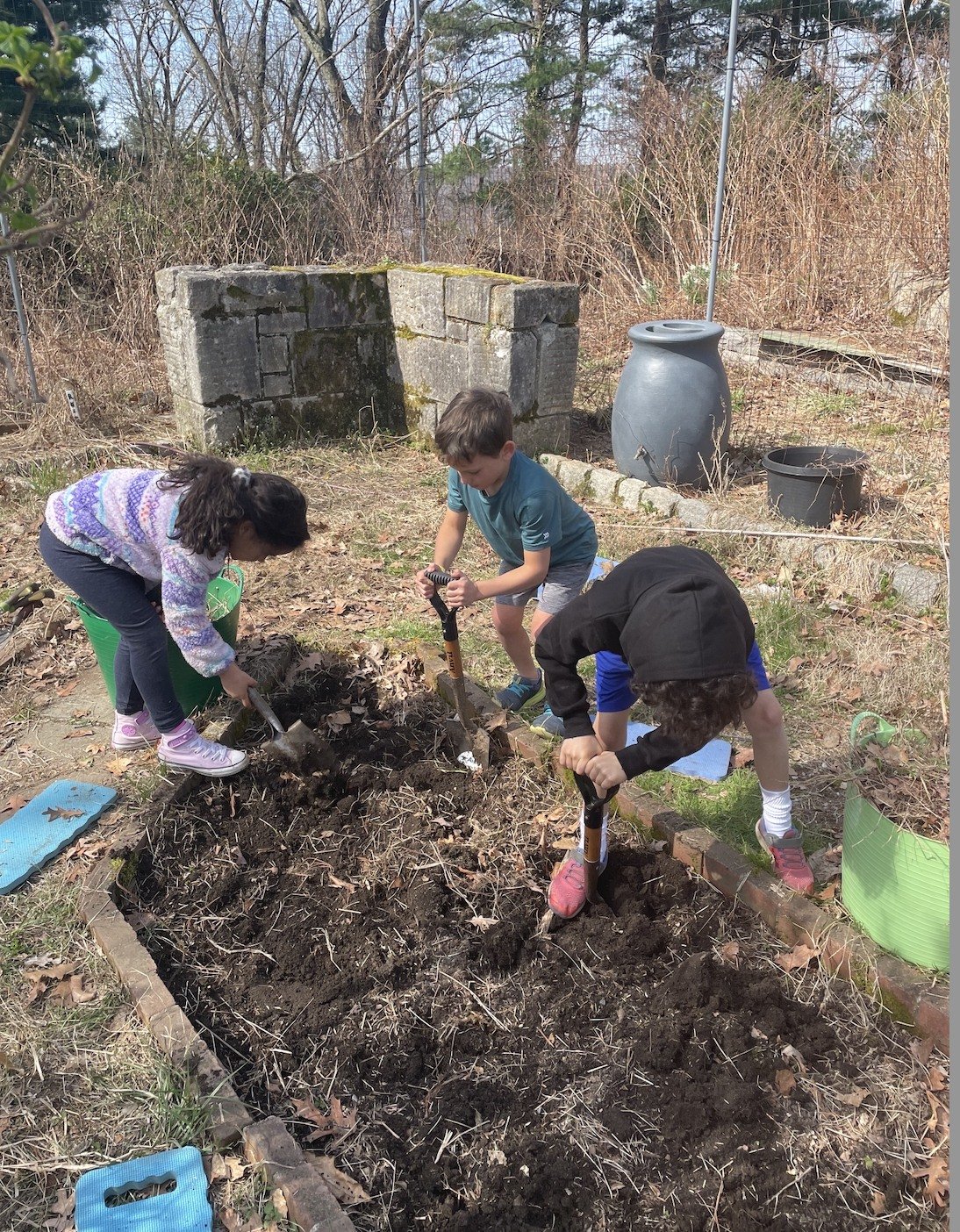 Everyone is so happy to be back in the garden! Our overwinter garlic looks GREAT! Near bed potatoes planted. Back bed soil being aerated and amended and spring onions are planted! Thank You Brooke!!! #hudsonlabschool #gardening #gardenlove #garden