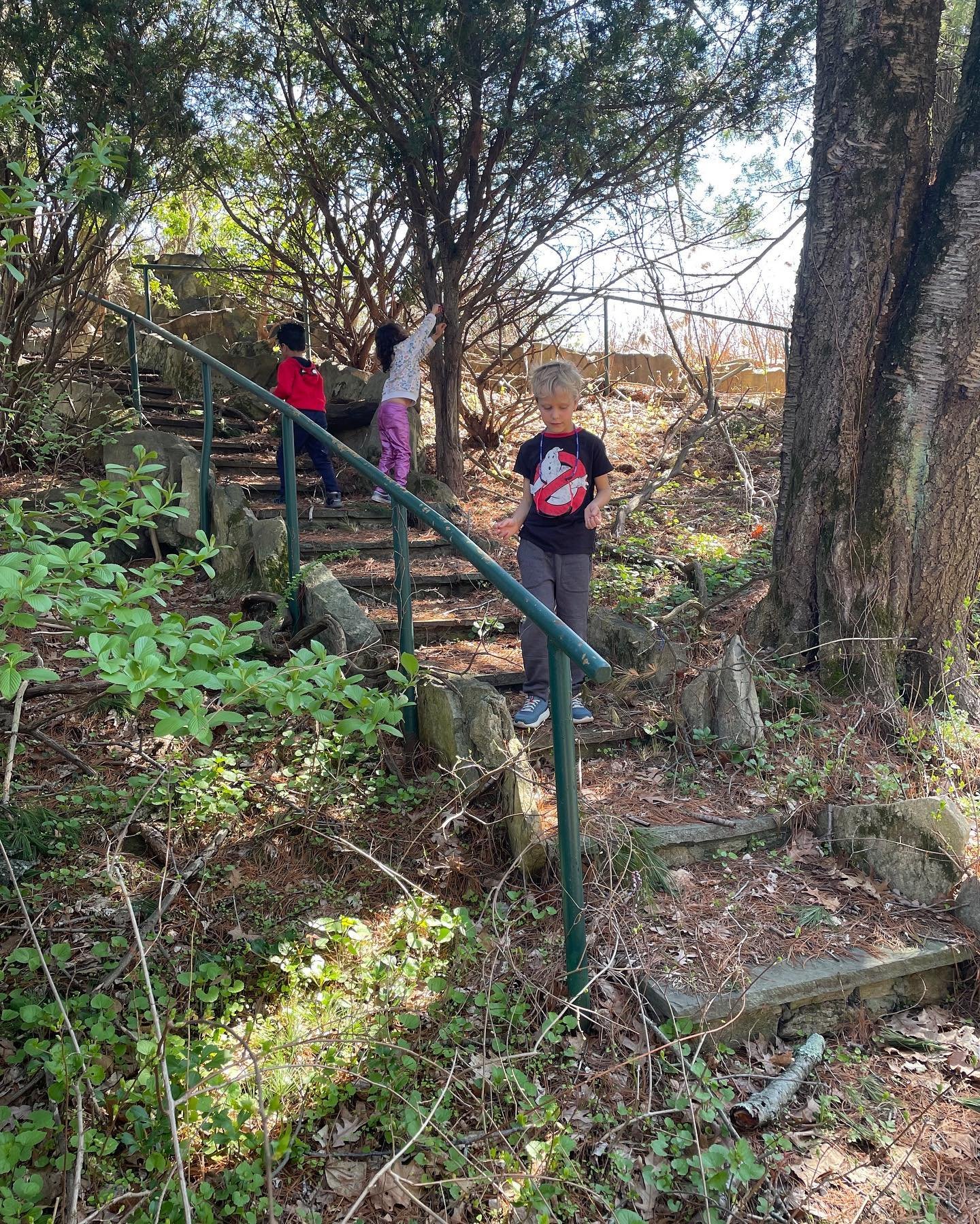 We are deep into birds in the Green Room! We learned our wingspan = our height (and practiced measuring!) We considered how many of us = an albatross wingspan (3!) then we went on our annual April silent Tweet Treat walk. We listened to where the bir