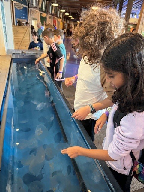 What an amazing time the Teal room students had visiting the Maritime Aquarium in Norwalk!!! #hudsonlabschool #hastingsonhudson #ExploreLearnGrow #handsonlearning