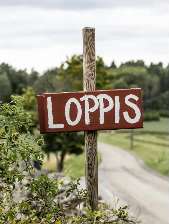 Skärmbild 2026-04-13 143732.png