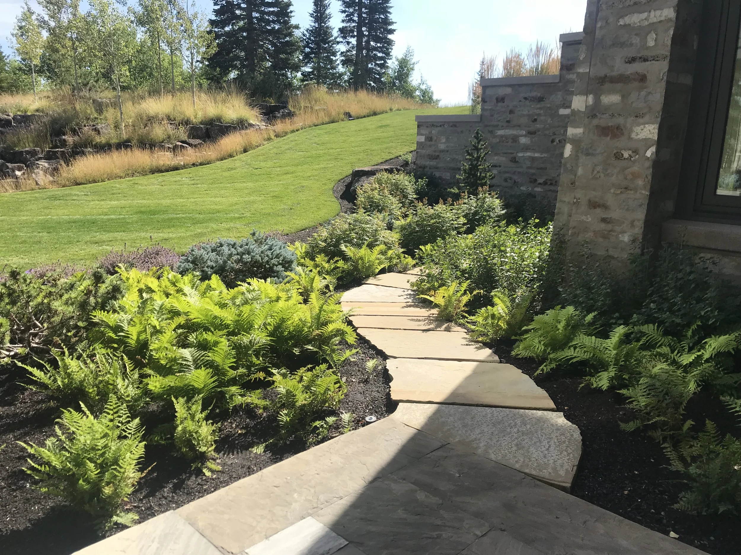 The Colony Landscape Design by Simriti Schwobe, Kappus Landscape