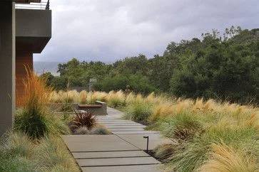 landscape.jpg