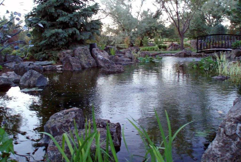 jcamera064.jpg