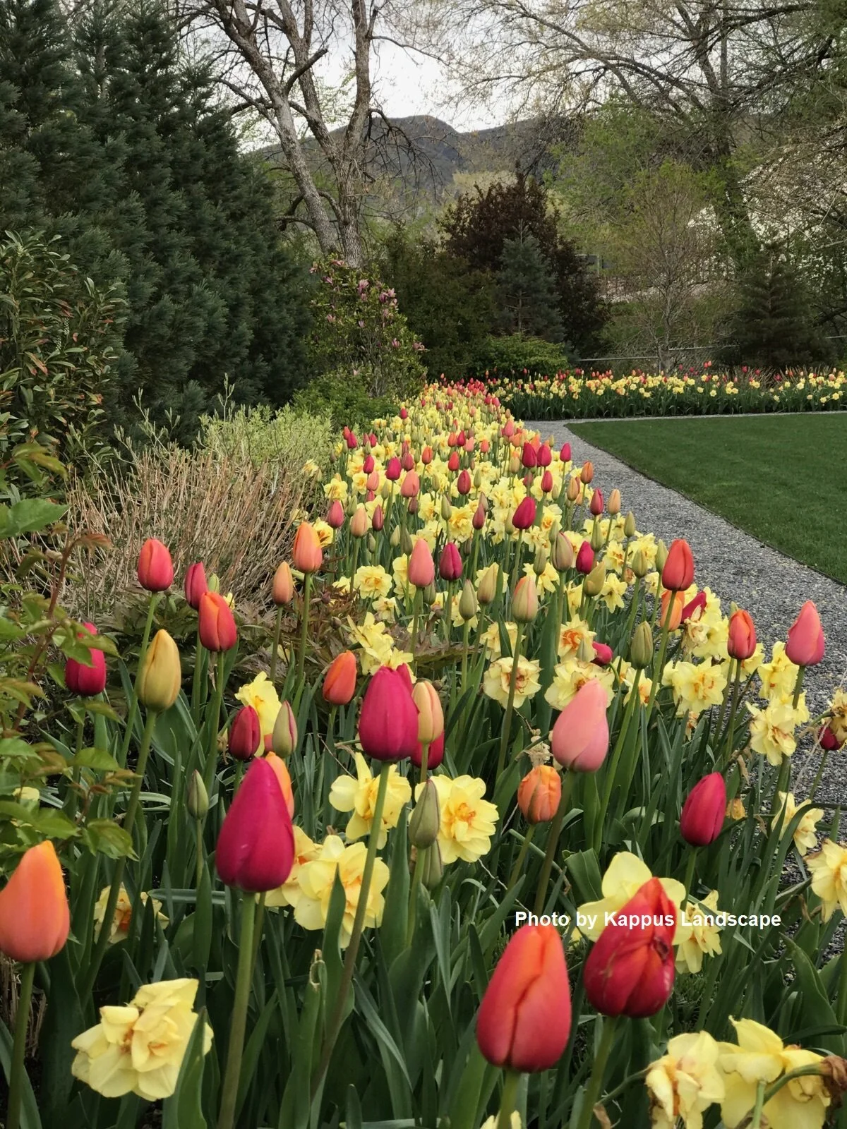 East Bench Landscape Design by Simriti Schwobe, Kappus Landscape and Photography by Lindsay Salazar @Lindsay_Salazar_Photography except as noted