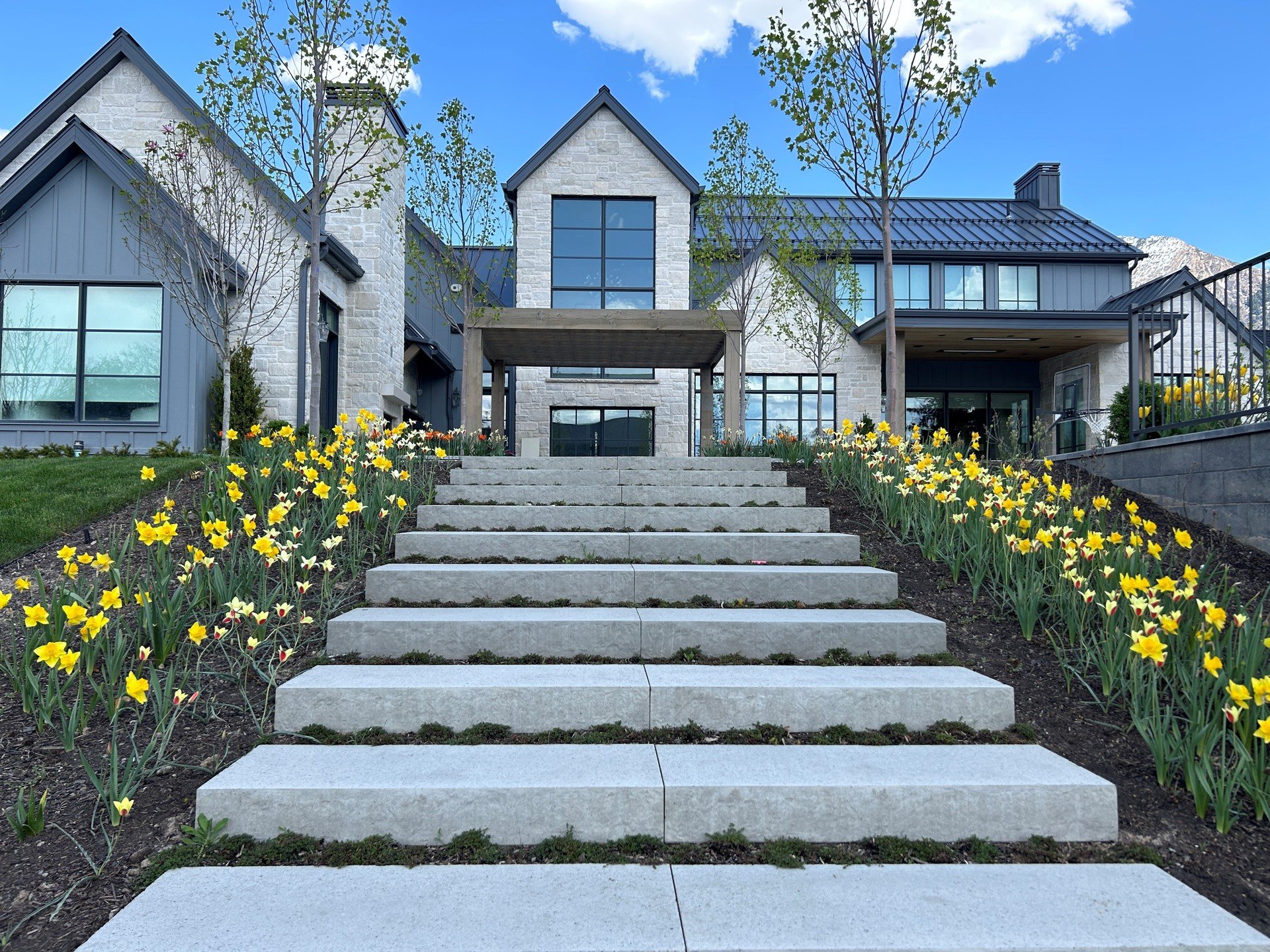 Daffodils and tulips and all the world turning green! 
#spring #landscapedesign #landscape #utahlandscaper #tulips #daffodils #boxwoods #stonecraft #stonestairs #entry #blooms
