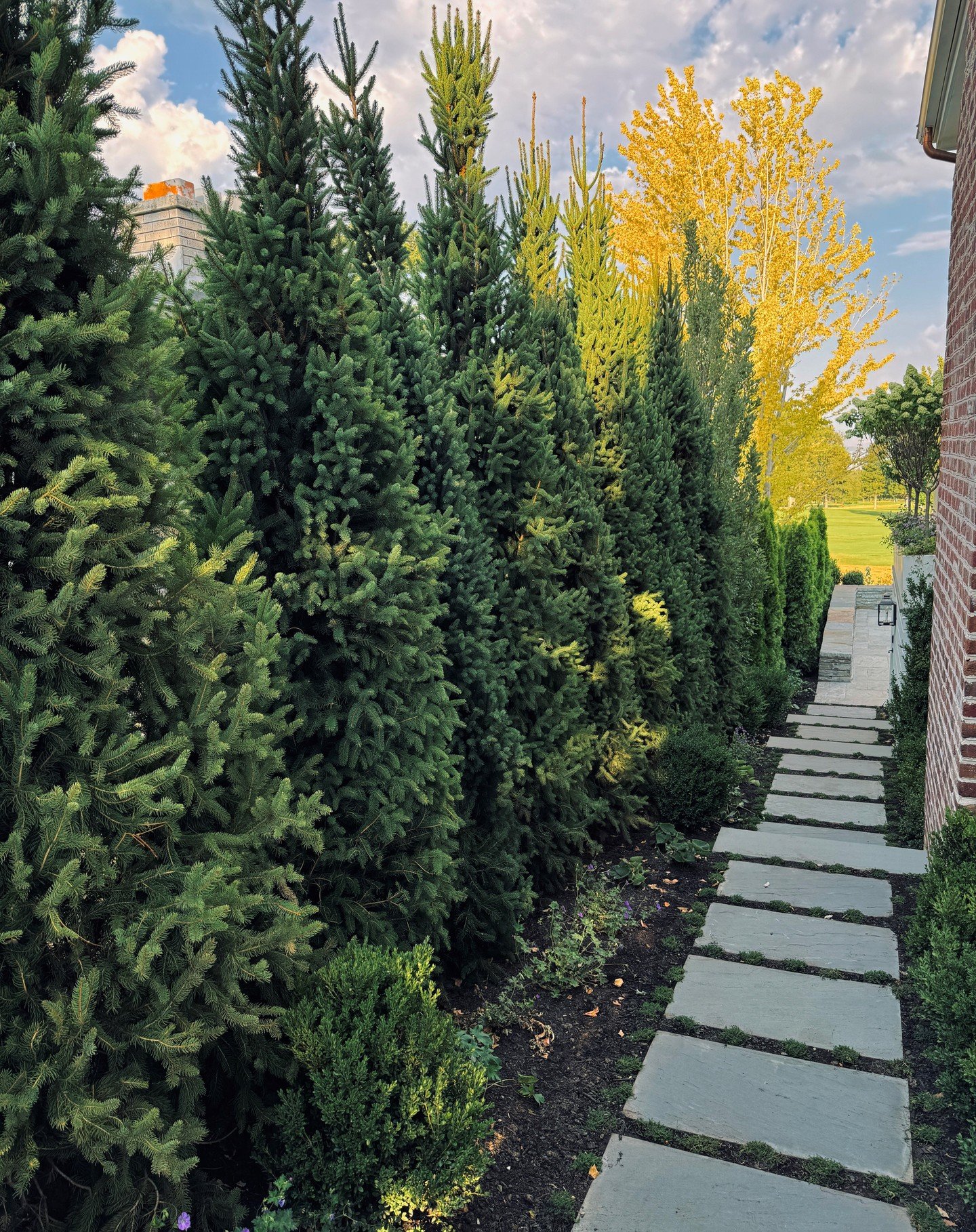 Nothing better than a living green wall for privacy and curb appeal! 

#piceaabies #cupressinaspruce #landscapedesign #landscape #livingwall #steppingstones #path #privacy #utah #screening #saltlakecitylandscaping