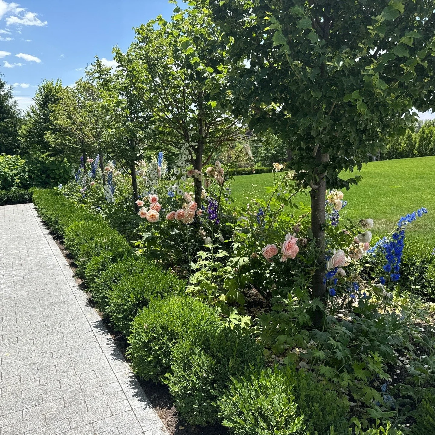 We're saying goodbye to all the summer flowers and welcoming autumn!

#delphinium #lindon #roses #boxwood #landscapedesign #landscape #utah #utahlandscapers #backyardgoals