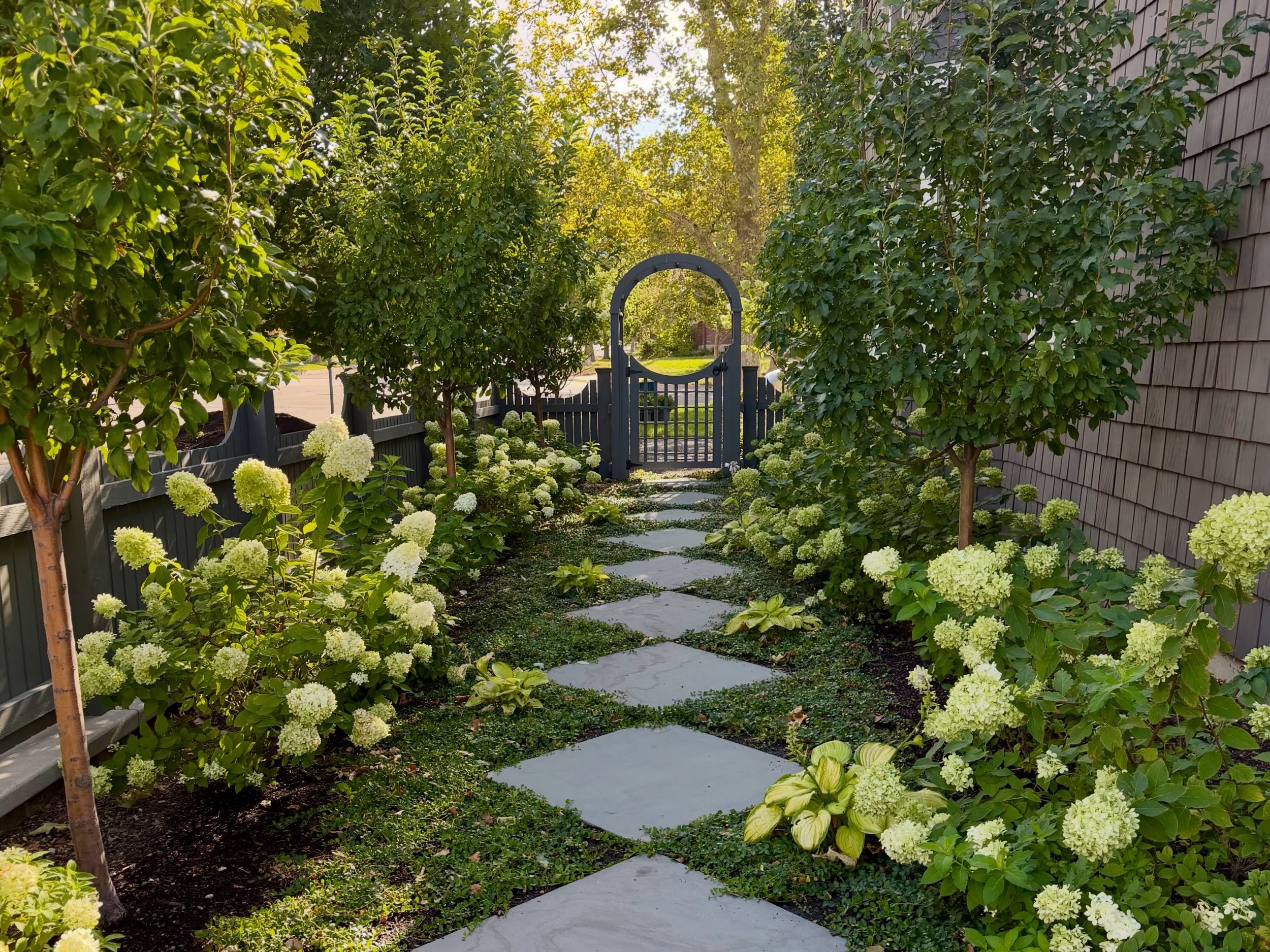 Charming landscaping done in the Harvard-Yale area. These Hydrangeas look so lovely! 🌳 #hydrangeas #landscape #harvardyale #utahlandscape #utahgarden