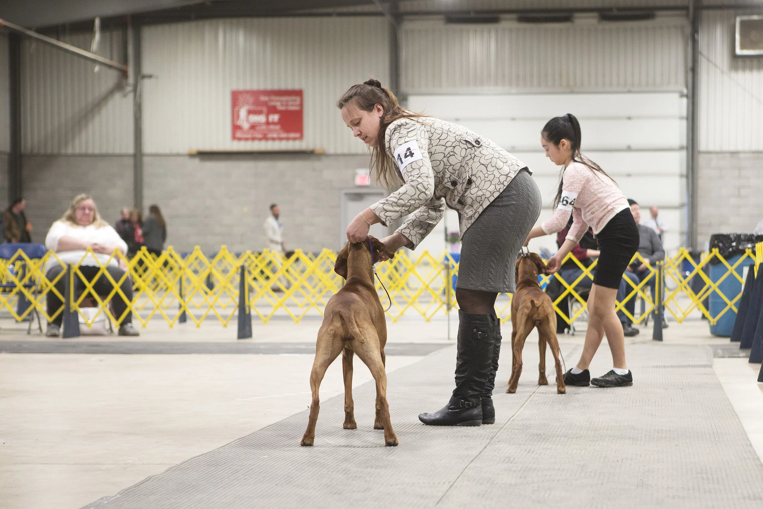 03_Dog show 18.jpg
