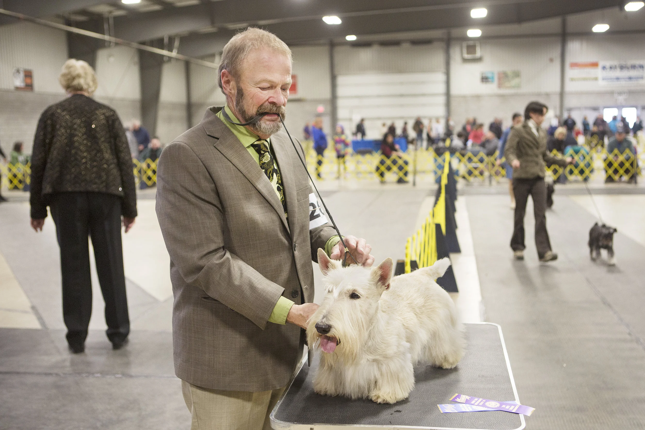 05c_Dog show 14.jpg
