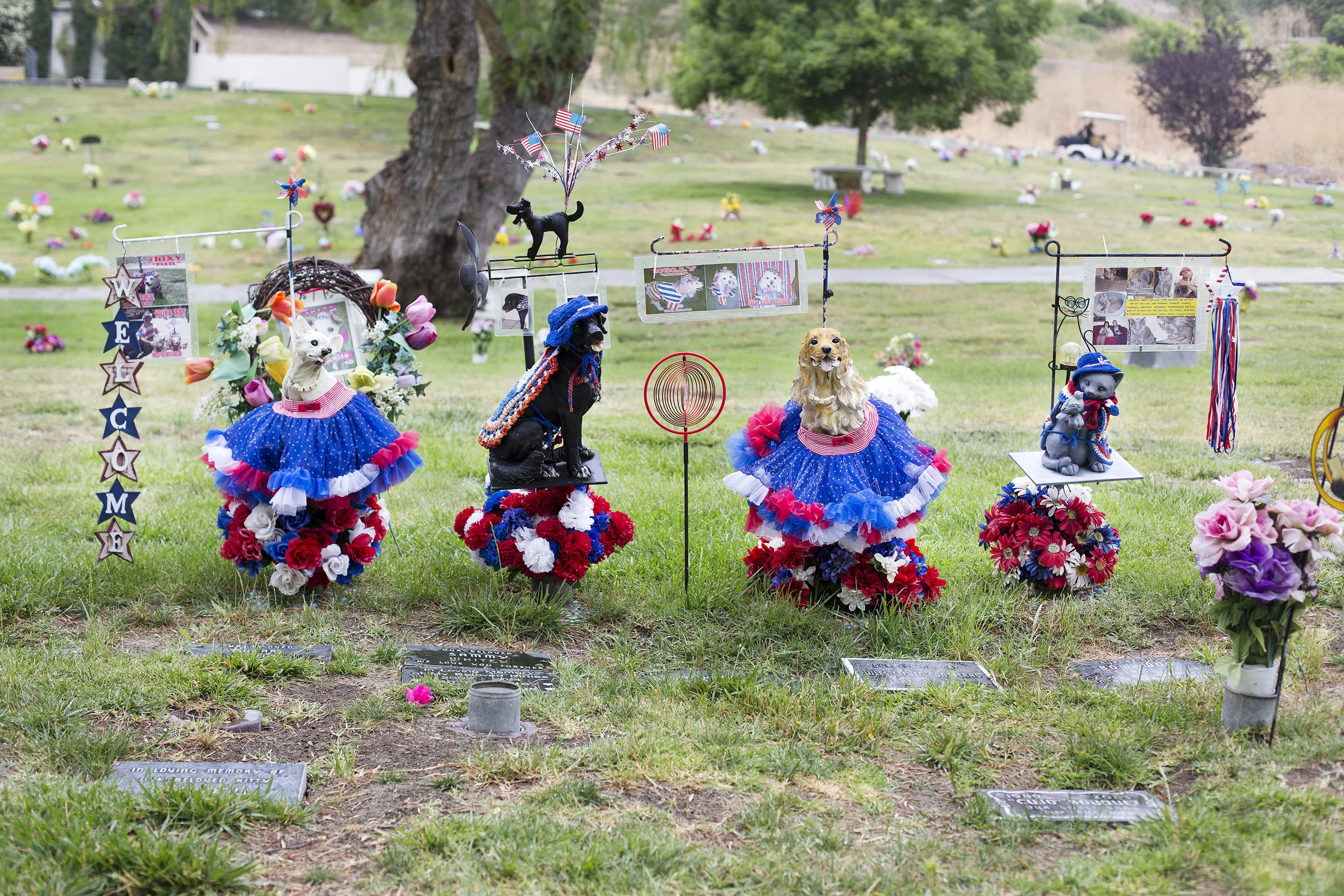Pet Cemetery 17.jpg