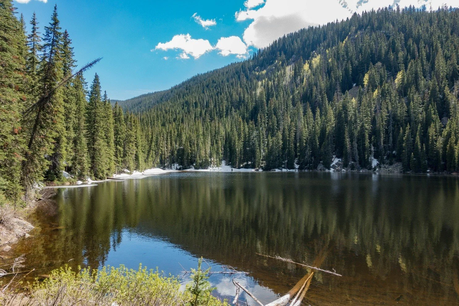 Peak Perspectives: A Networking Hike to Beaver Lake