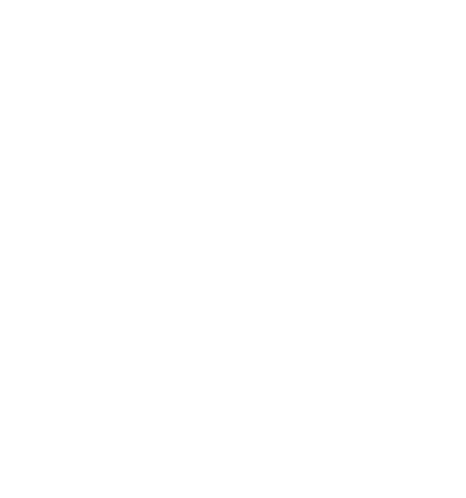BIM-Y