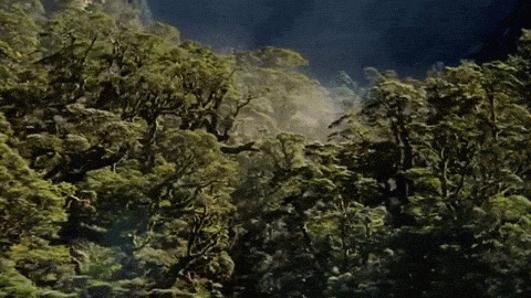 giphy-2.gif