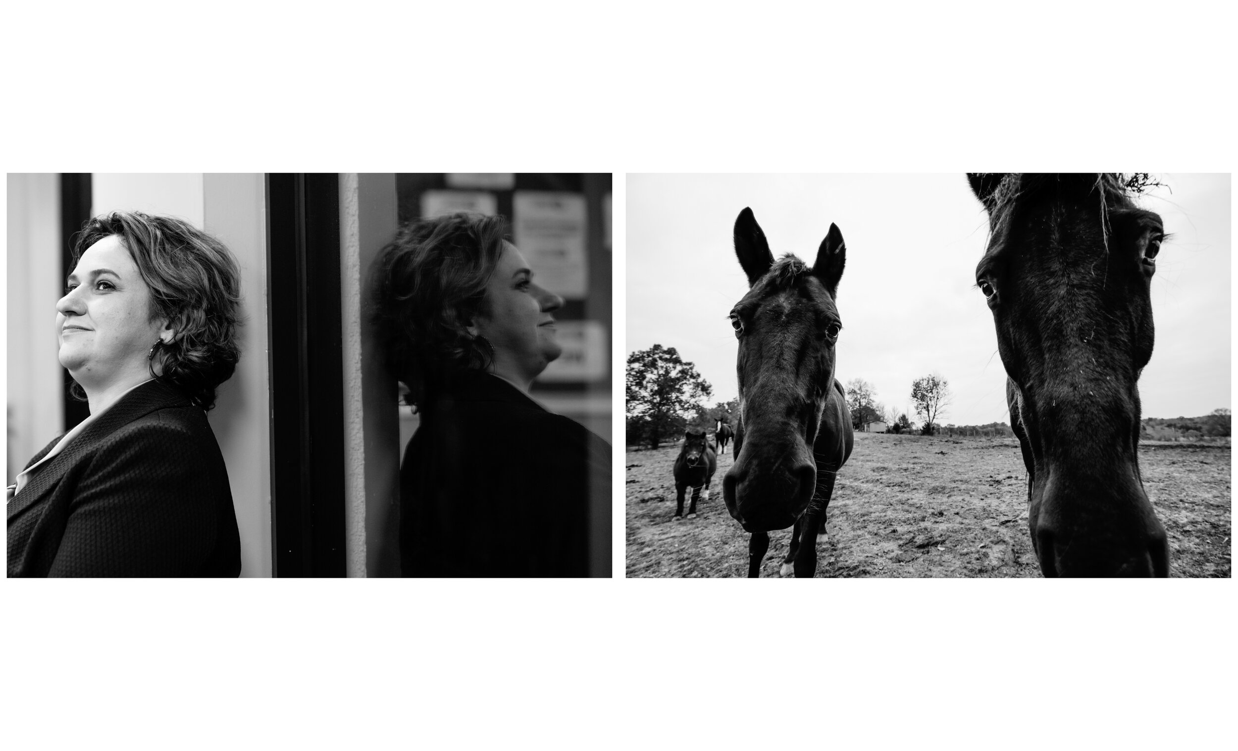  Heather Fryman lives two lives. One in the courtroom and one on her farm with her beloved Tennesee Walking Horses. She has always wanted to own horses since she was a child and lives that dream out with her two daughters and husband. The farm is the