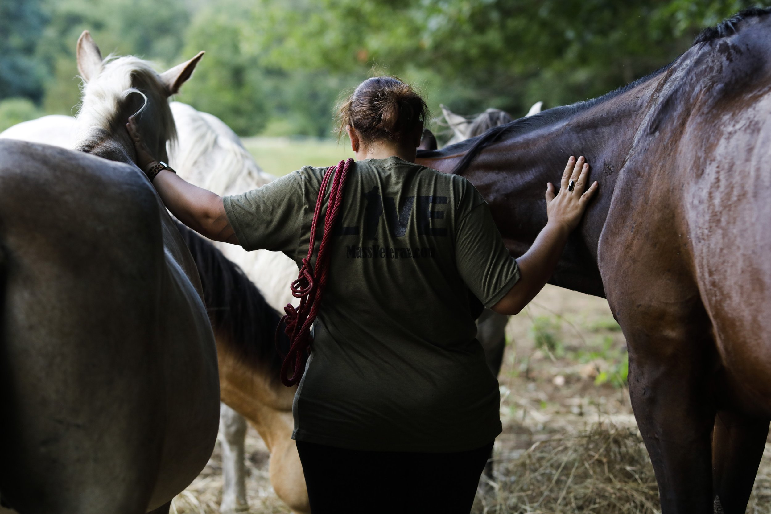  US Navy veteran Lauren DePina approaches horses with a halter over her shoulder to begin working on equine rehabilitation techniques at Project ComeBack in Holliston, Mass. on July 28, 2022. "People don't understand us as veterans... It's like a fre