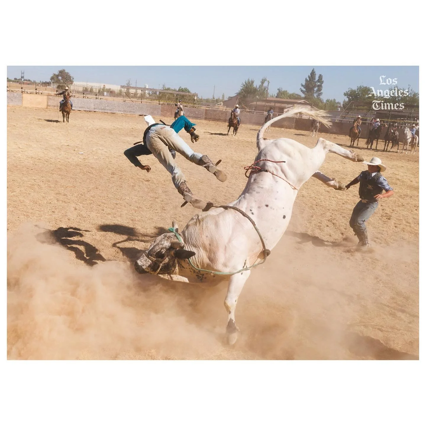 Part 2: The Joaquin Murietta Ride, @juaquinmurrietariders, reporting with @claraharter for @latimes. 

Scenes from the mixed rodeo and charreada event where Javonte Williams flew off his bull breaking his collarbone only to &ldquo;cowboy the f**k up,