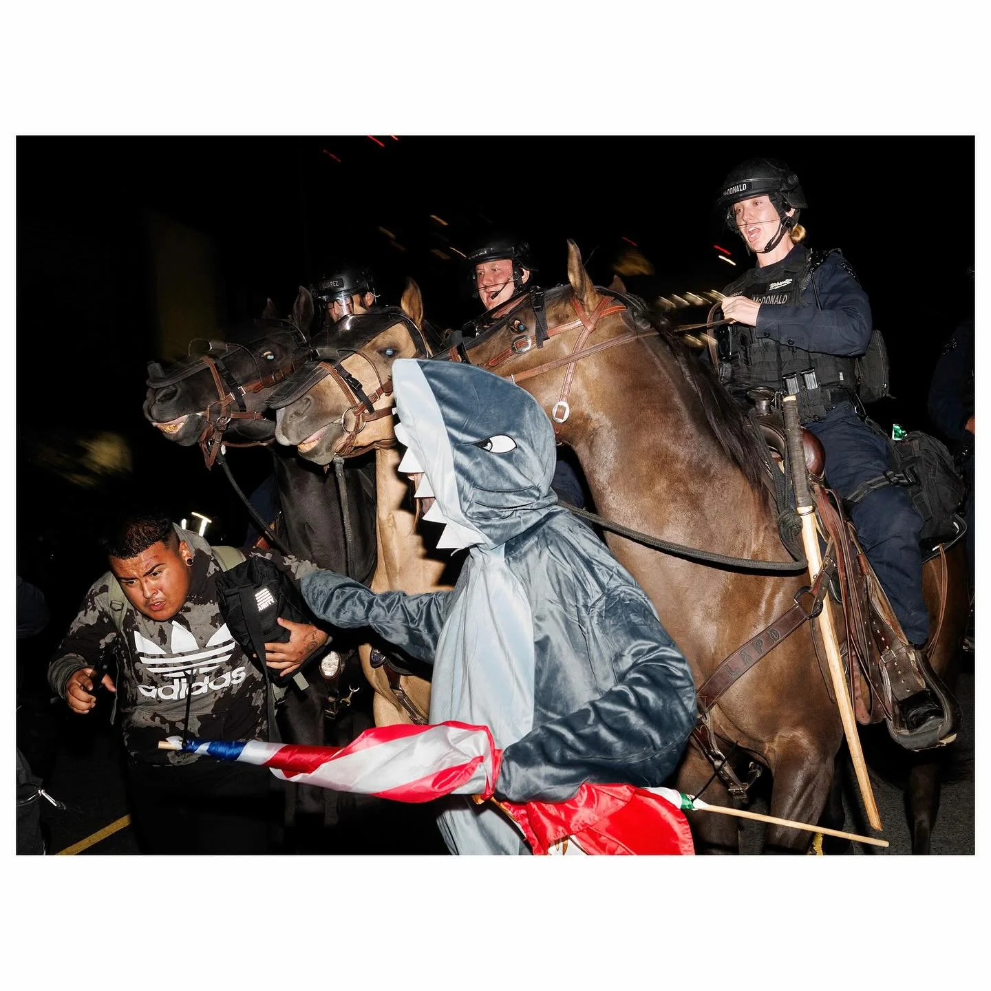 No Kings 2 

For @latimes 

#nokings #immigration #protest #politics #photojournalism #horses