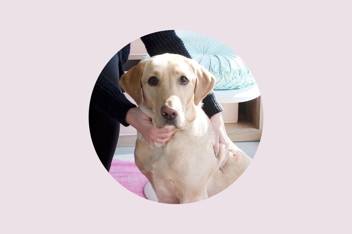 meet-the-team-cooper.jpg