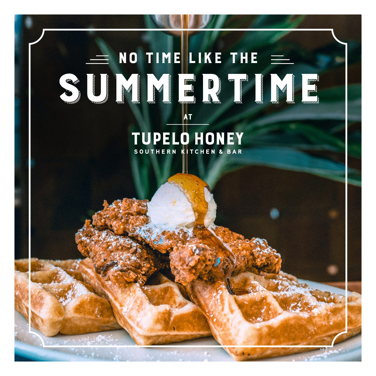 2_Tupelo-Honey_summertime_slideshow.png