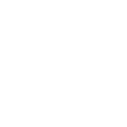 Joe Lesky Head Logo