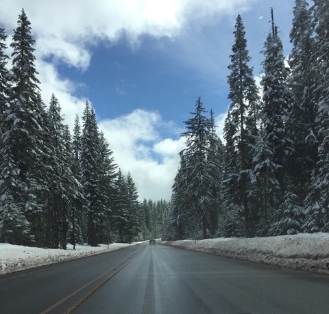 Driving through a winter wonderland. Image courtesy of Cameron Cesa.