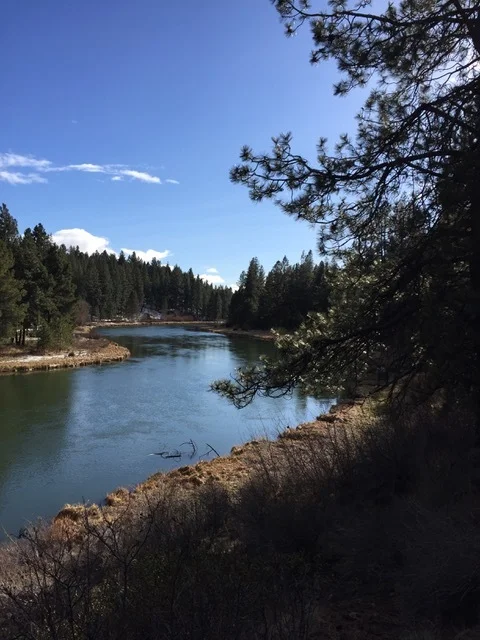 Overlooking the Deschutes River. Image courtesy of Cameron Cesa.