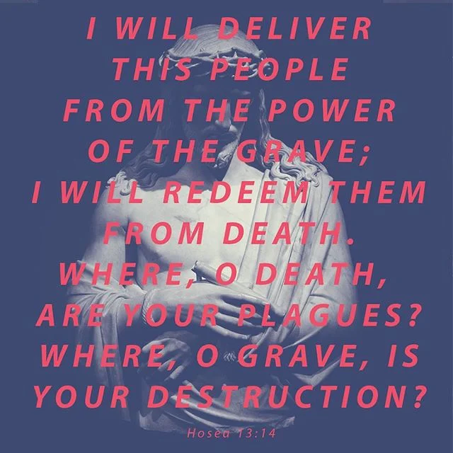 May life find you in all the dead places. #resurrection #makersandmysticspodcast #easter