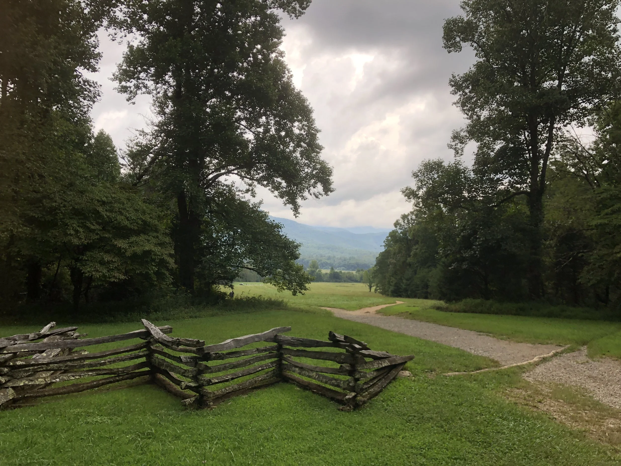 marbles-and-bullets-film-0016.JPG
