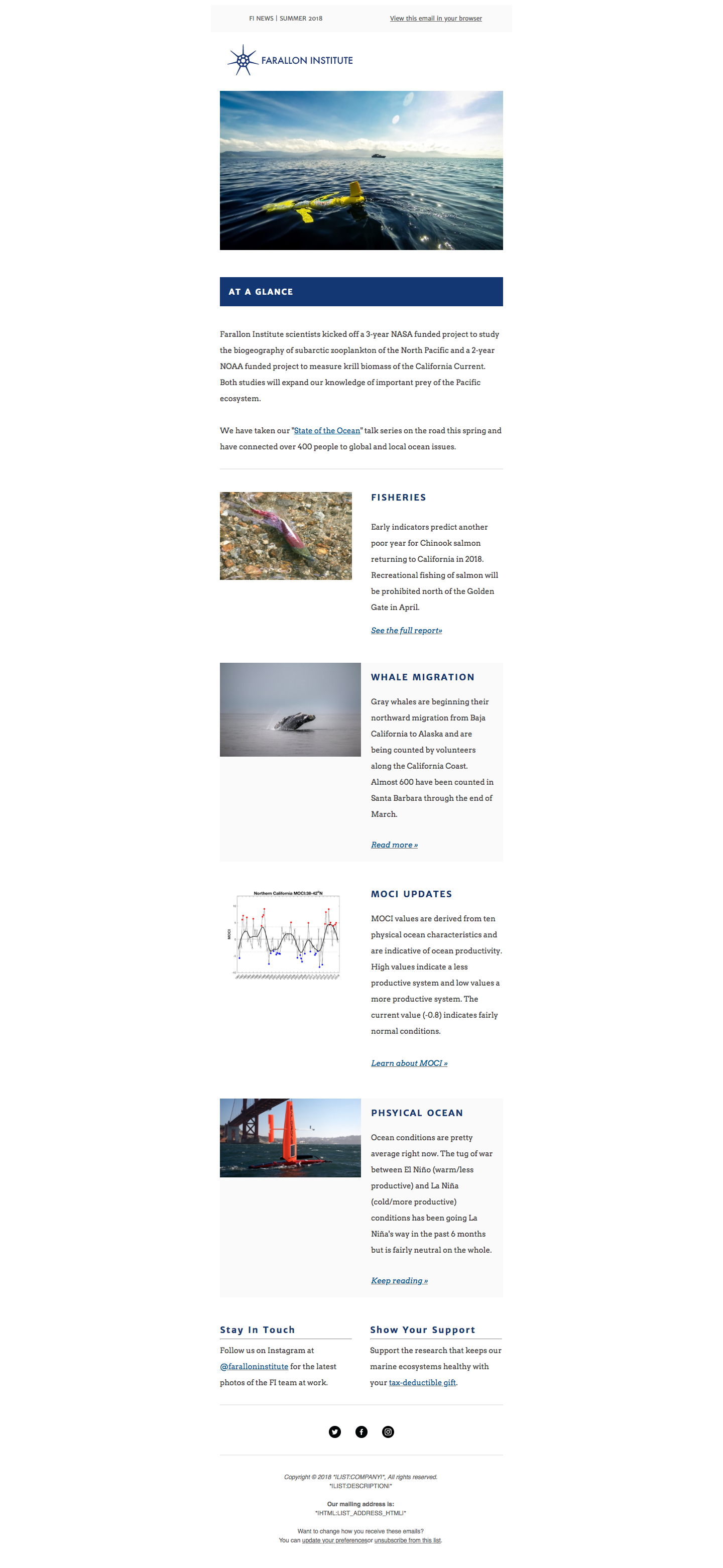 E-NEWSLETTER TEMPLATE DESIGN (FULL)