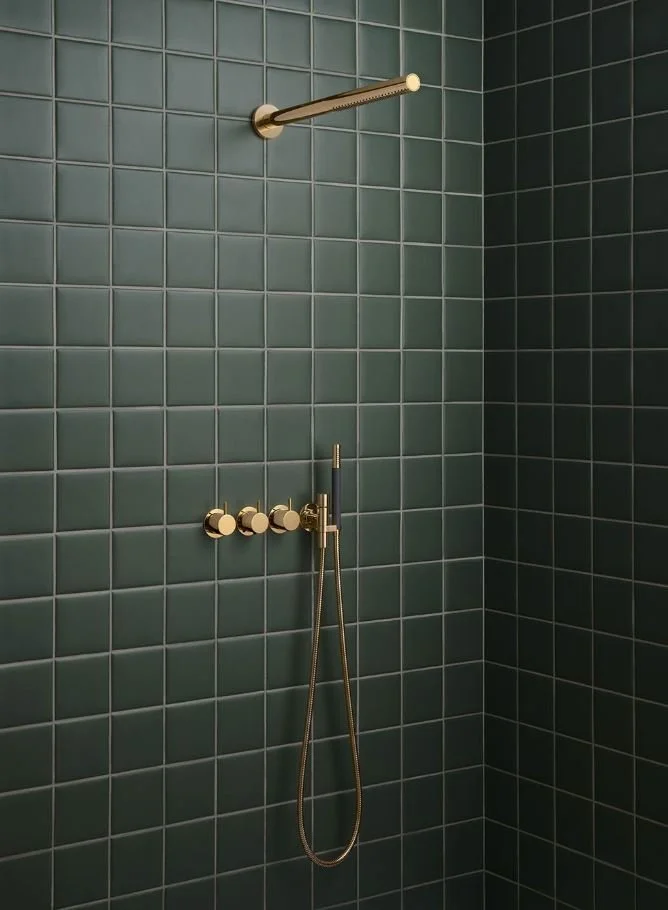 BRASS SHOWER.JPG