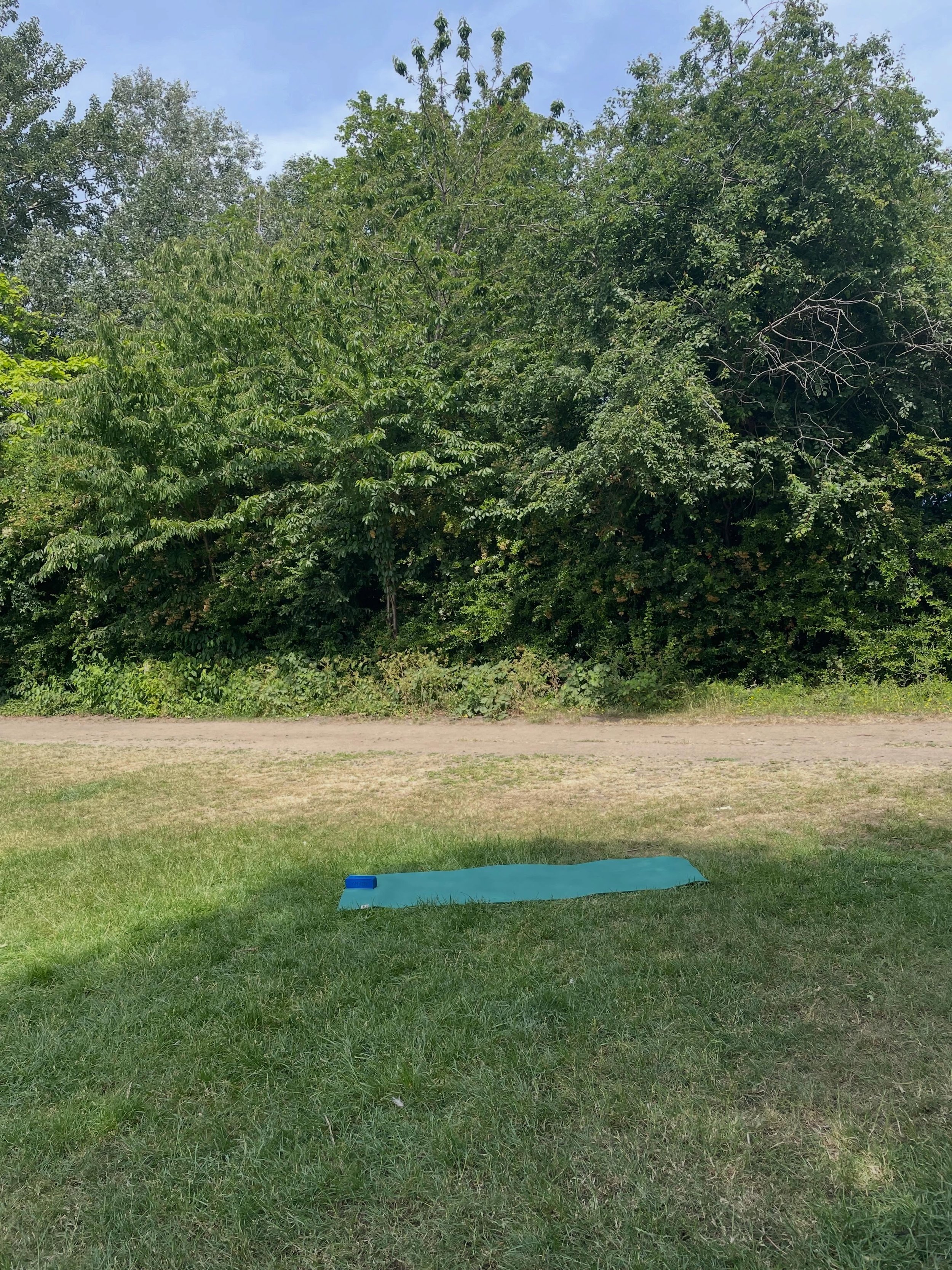 Heatwave done right I think. We took pregnancy yoga outdoors on Saturday and even managed to find a shady spot. 

This week it&rsquo;s back to Trinity Church on Orford Road E17 as usual for class at 10-11am on Saturday. 

You can book on my site (lin