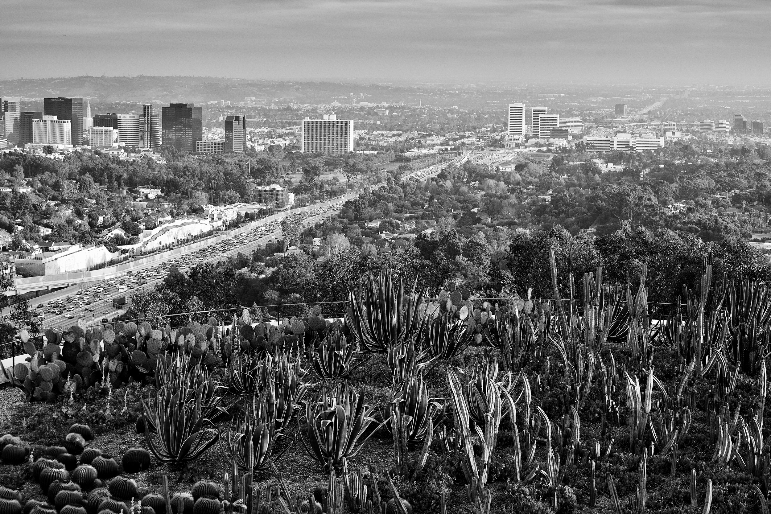 View from J. Paul Getty Center LA