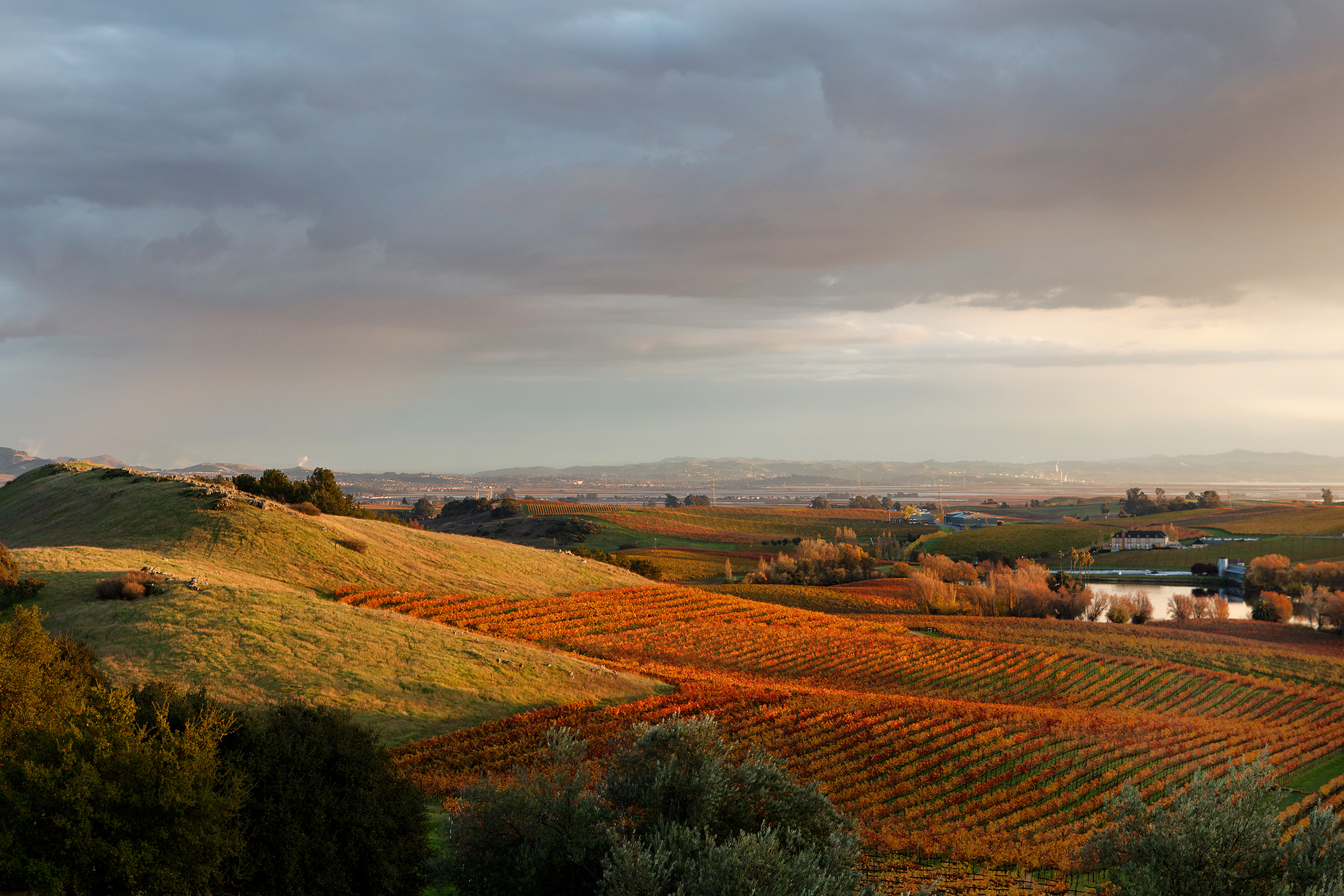 Napa Valley