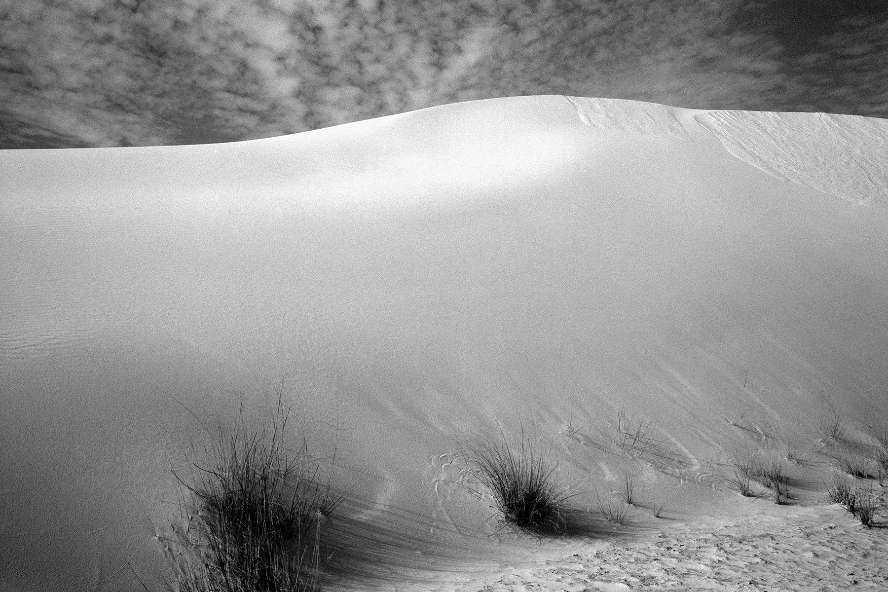 White Sands 