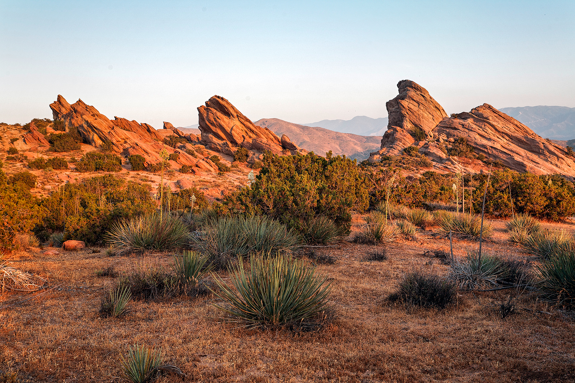 Vasquez Rocks