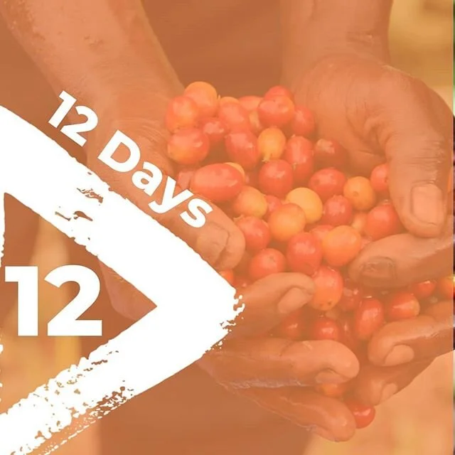 #12Days
12. SOCODI
Earlier this year the SOCODI cooperative on Idjwi completed initial installation on what is only the third functioning hydro power station in the whole of Kivu. Ensemble is proud to have supported this initiative from the start,