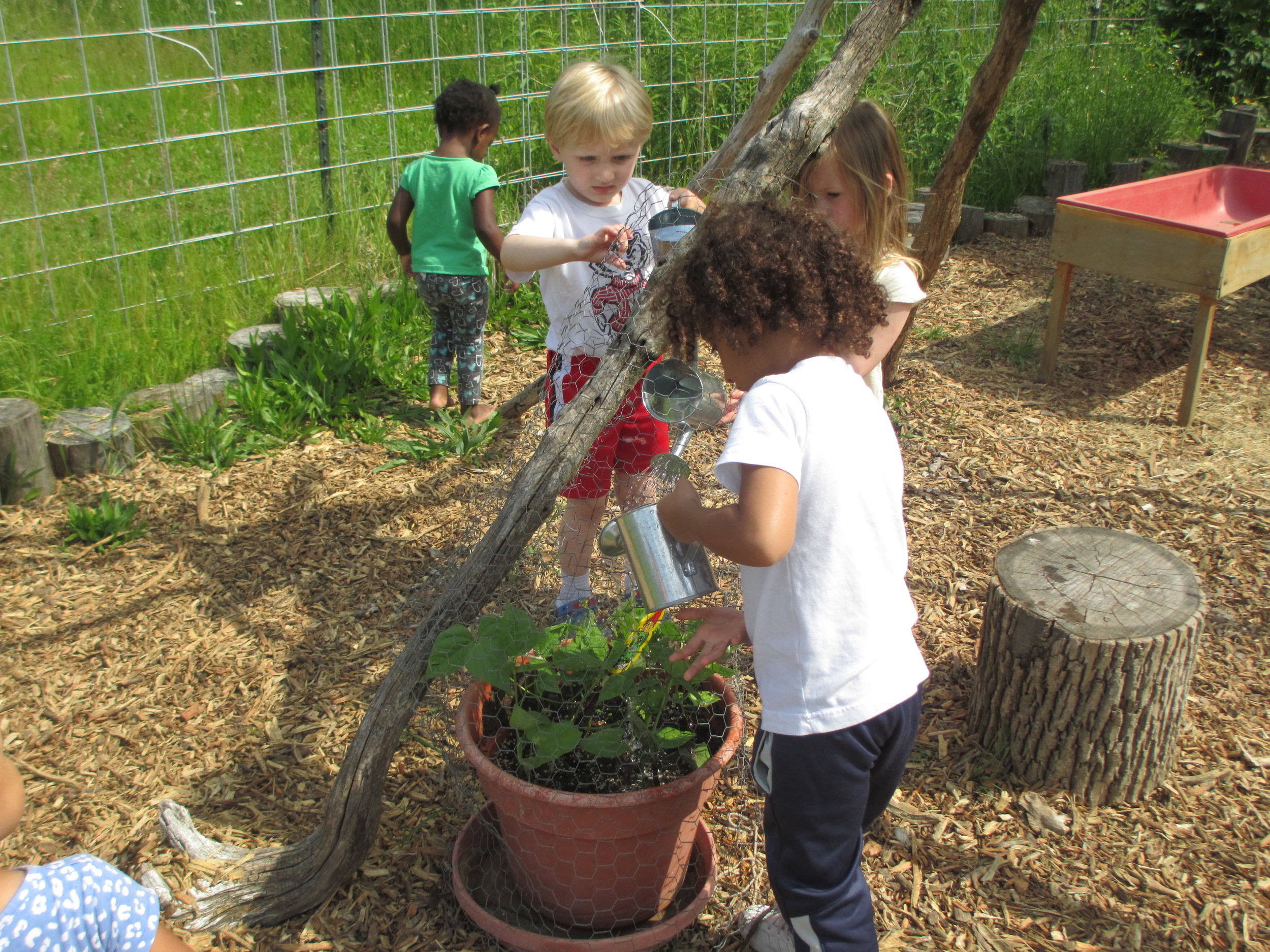 Outdoor_enviro garden play.jpg