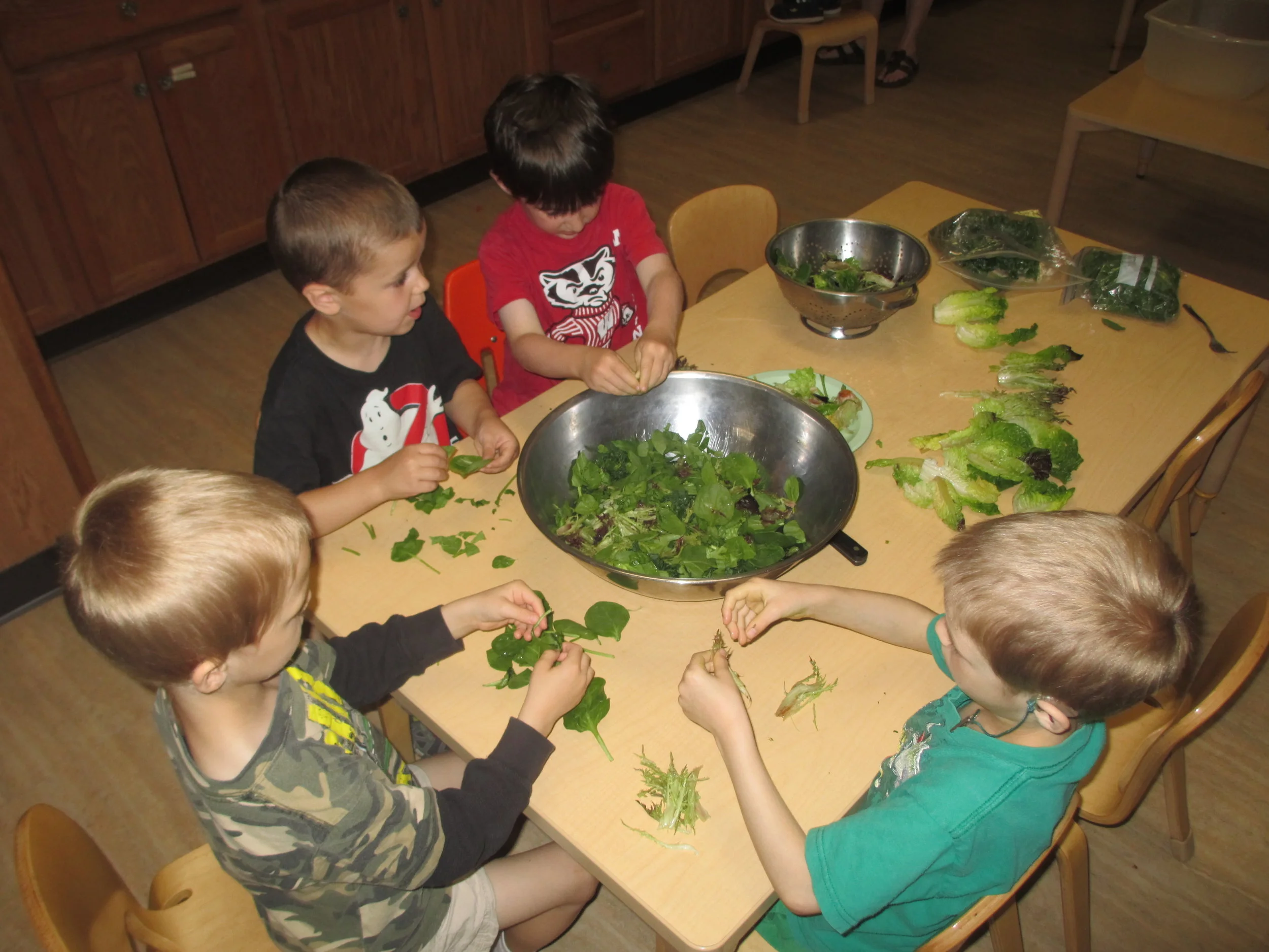 Nutrition_salad from garden.jpg