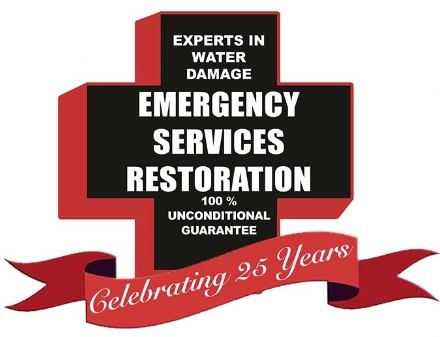 Emergency Services Restoration Premier Partner